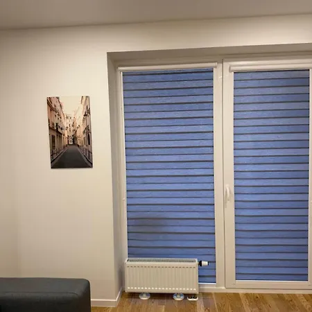 Frenkos Mega Vieta דירה